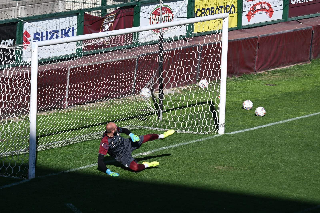 Mercato granata: Ngonge al Toro e Milinkovic Savic al Napoli